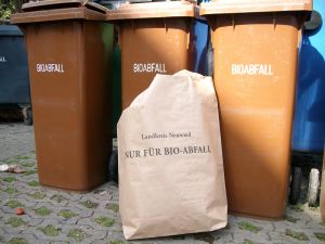 Nur diese offiziellen gebührenpflichtigen Abfallsäcke des Landkreises Neuwied werden bei der Biotonnenleerung mitgenommen. Ansonsten muss Grünabfall per Entsorgungsscheck angemeldet oder selbst zu den Wertstoffhöfen angeliefert werden.