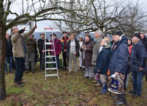 Foto: Manfred Hellmann vom DLR erläutert den zahlreichen Teilnehmern des Baumschnittkurses, wie richtig geschnitten wird. Baumpflege, Düngung und Vorbeugung von Krankheiten und Schädlingen standen ebenfalls im Mittelpunkt.