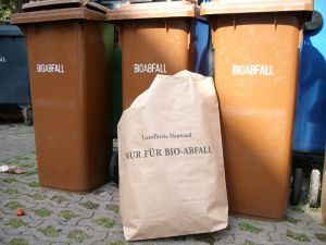 Foto: Grünabfälle neben der Biotonne werden nur abgeholt, wenn sie sich in den gebührenpflichtigen Abfallsäcken mit der Aufschrift Landkreis Neuwied befinden (privat).