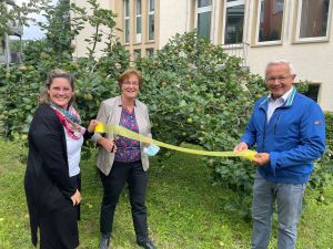 Foto: Ein gelbes Band am Baum signalisiert: Hier darf jeder ernten! Und so haben (von rechts) Landrat Achim Hallerbach, Umweltreferentin Ina Heidelbach und Gabi Schäfer von der Stabsstelle (Energie, Klima und Umwelt) den Apfelbaum im Hinterhof der Kreisverwaltung entsprechend gekennzeichnet. 