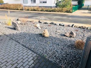 Foto: Vor der Pflanzung der Bienenbeetbox Verlosung 2021.