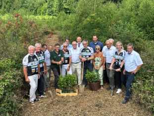 Gemeinsam mit dem Vor-Tour-Ehrenvorsitzenden Jürgen Grünwald, Vorstand Hans-Josef Brach und Botschafter Hendrik Hering, weiteren Kümmerern und Vertretern der Forstwirtschaft sowie den Landräte-Kollegen Achim Schwickert und Peter Enders, Dierdorfs Bürgermeister Manuel Seiler, dem Bürgermeister der Verbandsgemeinde Rengsdorf-Waldbreitbach, Hans-Werner Breithausen, und „Wir-Westerwälder Vorständin Sandra Köster legte Landrat Achim Hallerbach Hand an bei der Anpflanzung junger Kastanienbäume zugunsten krebskranker und bedürftiger Kinder. Foto: Thomas Herschbach