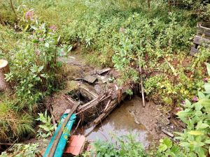 Foto: Sinkende Wasserstände und hohe Verdunstungsraten haben gravierend negative Auswirkungen auf alle Pflanzen und Tiere, die auf den Lebensraum am und im Gewässer angewiesen sind. Darauf macht das Umweltreferat der Kreisverwaltung Neuwied aufmerksam. Fotos: Martin Boden / Kreisverwaltung Neuwied