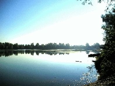 Der Kann-See im WSG "Engerser Feld"