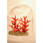 Dick Marianne / Neuwied / Die letzten ihrer Art I / Porzellan-Paperclay / H: 13, B:12, L: 13cm / 150,- € incl. Glas-Sturz