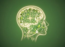 Zu sehen ist ein Kopf  auf grünem Hintergrund. Symbolisiert mentale Gesundheit.