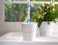 Zahnbürste steht im Bad in einem Zahnputzbecher