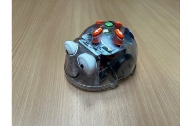 Ein kleiner Roboter, in der Form einer Computer-mouse, mit Augen ist zu sehen